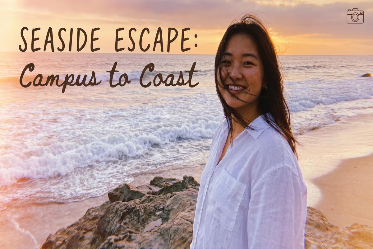 熟女人妻传媒旅行视频